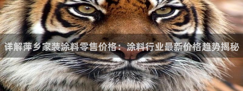和记平台官方网：详解萍乡家装涂料零售价格：涂料行业最新价格趋势揭秘