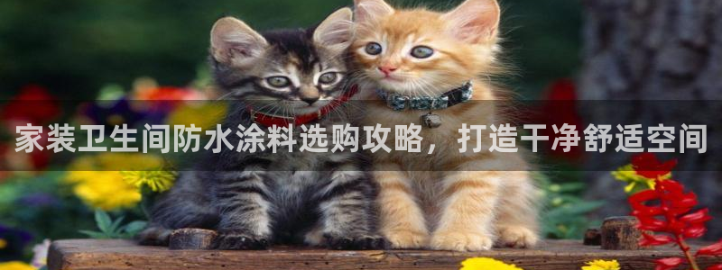 和记Ag：家装卫生间防水涂料选购攻略，打造干净舒适空间