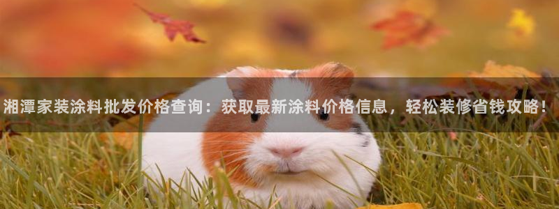 和记平台官网：湘潭家装涂料批发价格查询：获取最新涂料价格信息，轻松装修省钱攻略！
