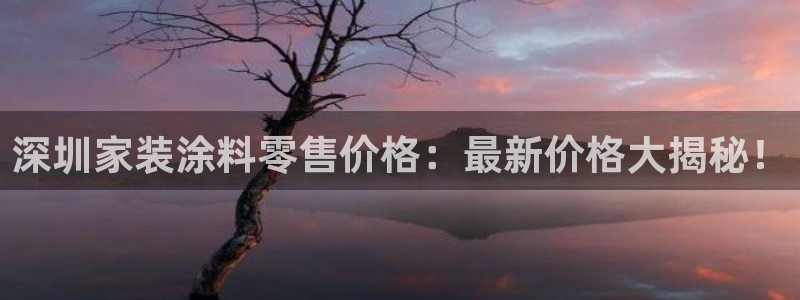和记(福建)商贸有限公司：深圳家装涂料零售价格：最新价格大揭秘！