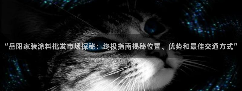 和记2017app：“岳阳家装涂料批发市场探秘：终极指南揭秘位置、优势和最佳交通方式”