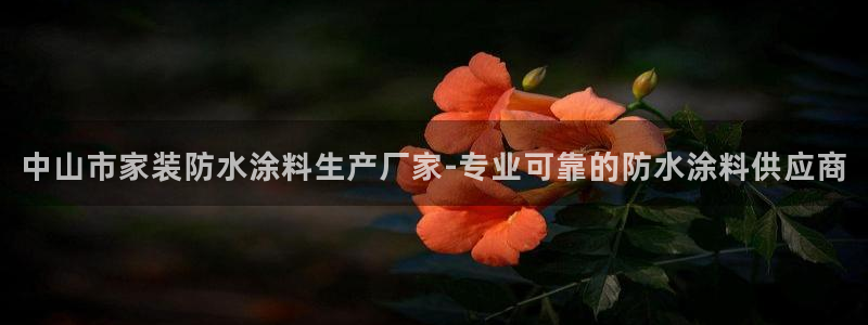 和记官网登陆：中山市家装防水涂料生产厂家-专业可靠的防水涂料供应商