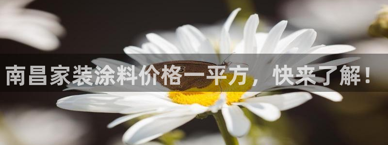 和记平台官网：南昌家装涂料价格一平方，快来了解！