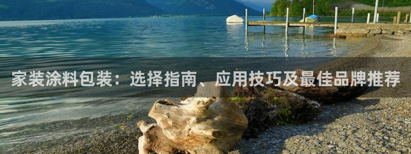 和记h88最新客户端下载：家装涂料包装：选择指南、应用技巧及最佳品牌推荐