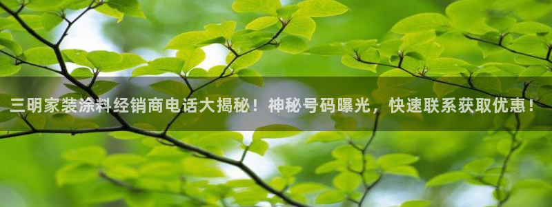 和记ag网址：三明家装涂料经销商电话大揭秘！神秘号码曝光，快速联系获取优惠！