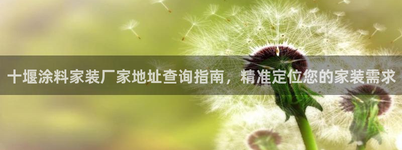 和记官方直营：十堰涂料家装厂家地址查询指南，精准定位您的家装需求