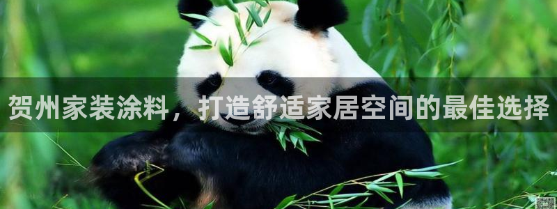 和记官方直营注册导航：贺州家装涂料，打造舒适家居空间的最佳选择