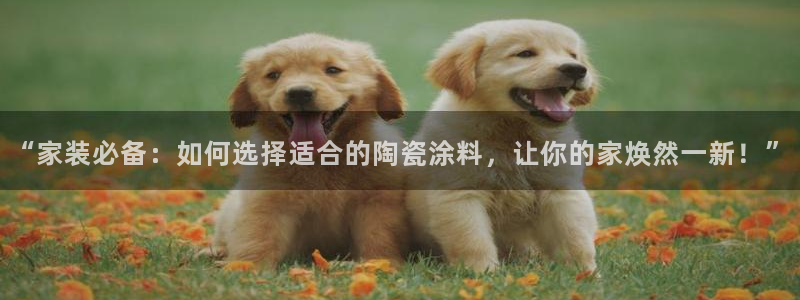 和记AG网站：“家装必备：如何选择适合的陶瓷涂料，让你的家焕然一新！”
