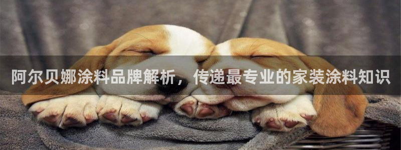 青岛大生和记餐饮管理有限公司：阿尔贝娜涂料品牌解析，传递最专业的家装涂料知识