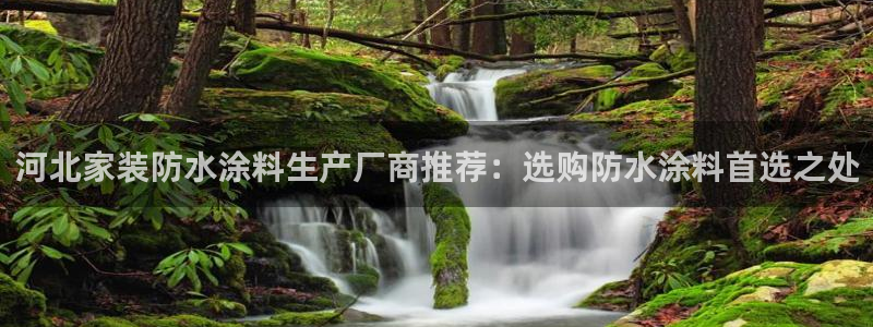 和记国际听：河北家装防水涂料生产厂商推荐：选购防水涂料首选之处