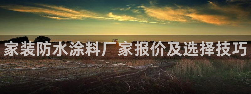 和记app官网：家装防水涂料厂家报价及选择技巧