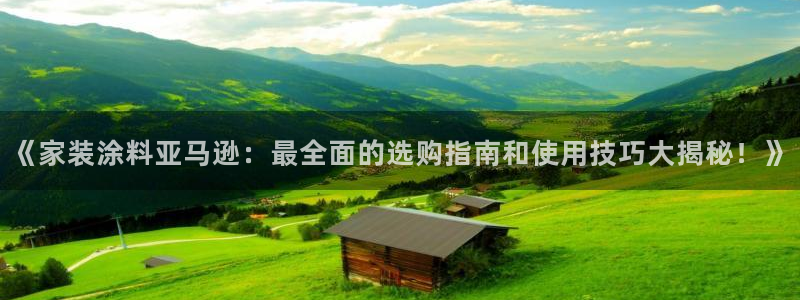 和记 首页：《家装涂料亚马逊：最全面的选购指南和使用技巧大揭秘！》