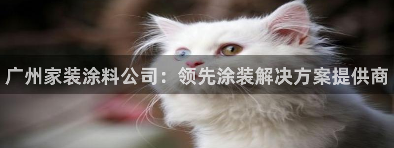 和记Ag：广州家装涂料公司：领先涂装解决方案提供商