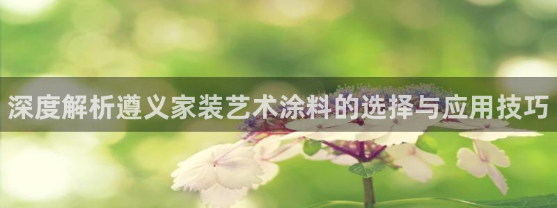 和记平台登录：深度解析遵义家装艺术涂料的选择与应用技巧