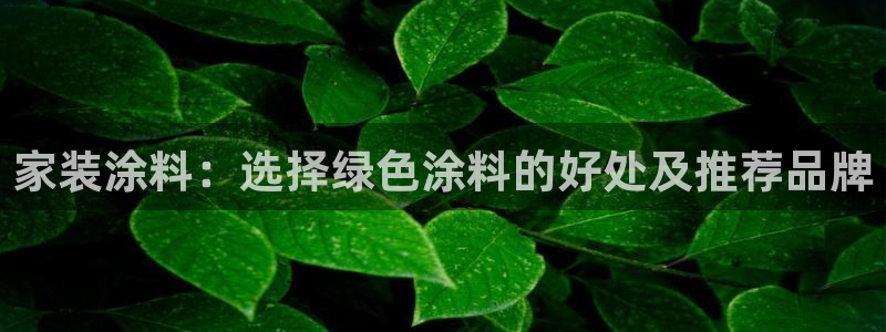 和记官方网站：家装涂料：选择绿色涂料的好处及推荐品牌