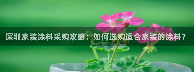 和记 首页：深圳家装涂料采购攻略：如何选购适合家装的涂料？