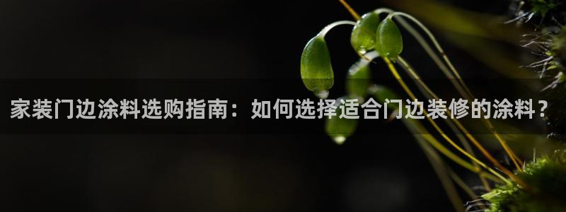 和记旗舰厅：家装门边涂料选购指南：如何选择适合门边装修的涂料？