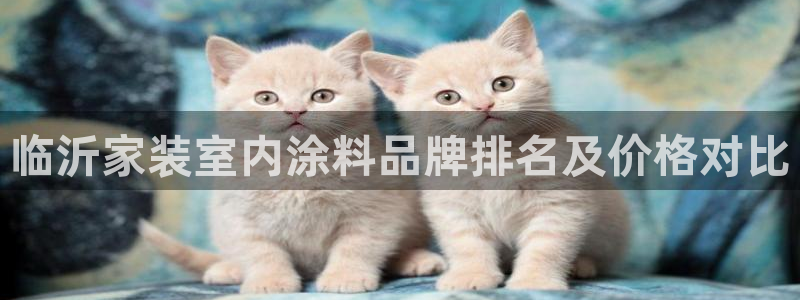 和记国际电讯市值：临沂家装室内涂料品牌排名及价格对比