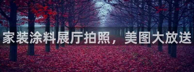 和记paging：家装涂料展厅拍照，美图大放送
