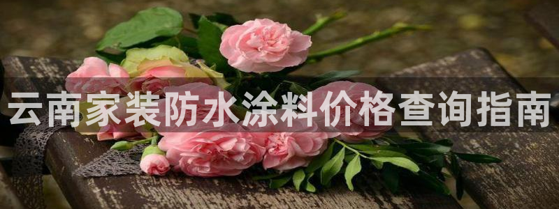 和记国际：云南家装防水涂料价格查询指南