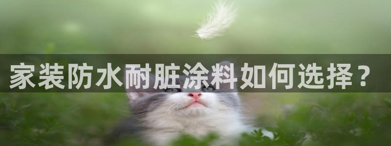 和记ag捕鱼害死多少人