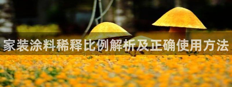 和记ag旗舰厅app