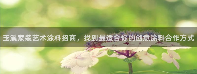 和记 中国官网：玉溪家装艺术涂料招商，找到最适合你的创意涂料合作方式