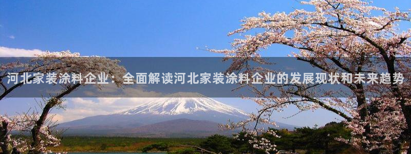 和记网页：河北家装涂料企业：全面解读河北家装涂料企业的发展现状和未来趋势