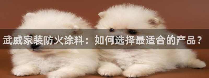 和记网页
