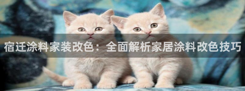 和记网页版登陆：宿迁涂料家装改色：全面解析家居涂料改色技巧