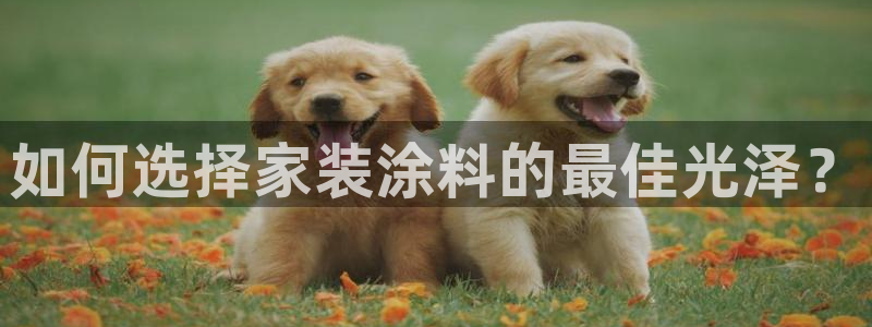 和记官网登录：如何选择家装涂料的最佳光泽？