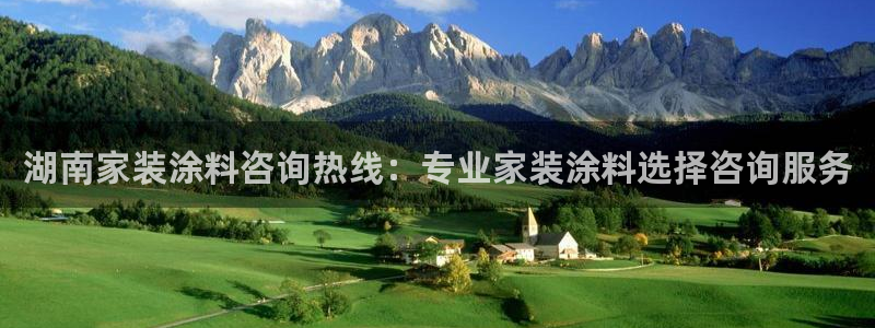 和记国际电讯市值