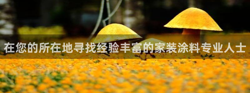 和记ag旗舰厅app：在您的所在地寻找经验丰富的家装涂料专业人士