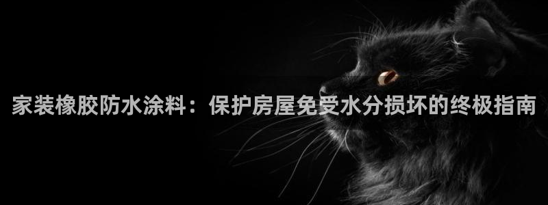 和记(福建)商贸有限公司：家装橡胶防水涂料：保护房屋免受水分损坏的终极指南
