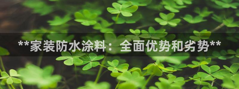 和记Ag：**家装防水涂料：全面优势和劣势**