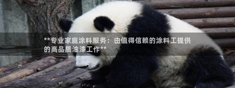 和记官方平台：**专业家庭涂料服务：由值得信赖的涂料工提供
的高品质油漆工作**