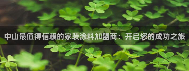 和记AG：中山最值得信赖的家装涂料加盟商：开启您的成功之旅