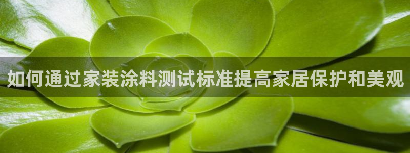 和记国际：如何通过家装涂料测试标准提高家居保护和美观