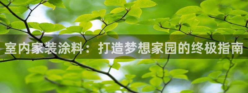 和记 中国官网：室内家装涂料：打造梦想家园的终极指南