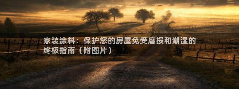 和记旗舰厅：家装涂料：保护您的房屋免受磨损和潮湿的
终极指南（附图片）