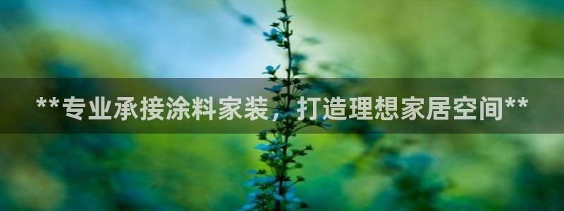 和记国际开户：**专业承接涂料家装，打造理想家居空间**