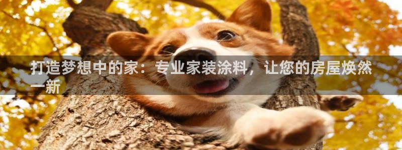 和记官网 公司：打造梦想中的家：专业家装涂料，让您的房屋焕然
一新