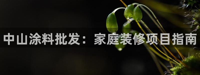 和记ag旗舰厅：中山涂料批发：家庭装修项目指南