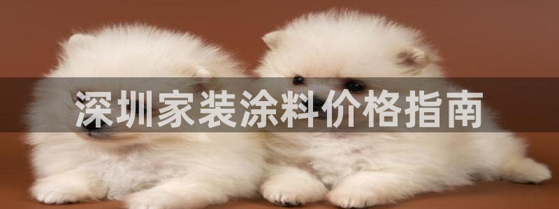 和记国际：深圳家装涂料价格指南