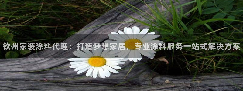 深圳和记科技有限公司：钦州家装涂料代理：打造梦想家居，专业涂料服务一站式解决方案