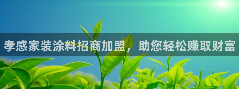 和记app官网登录：孝感家装涂料招商加盟，助您轻松赚取财富