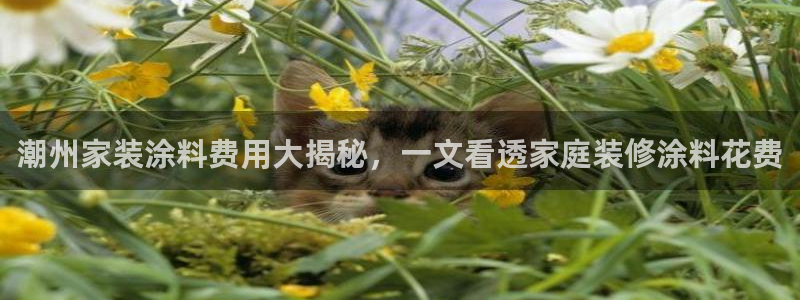 和记网页版