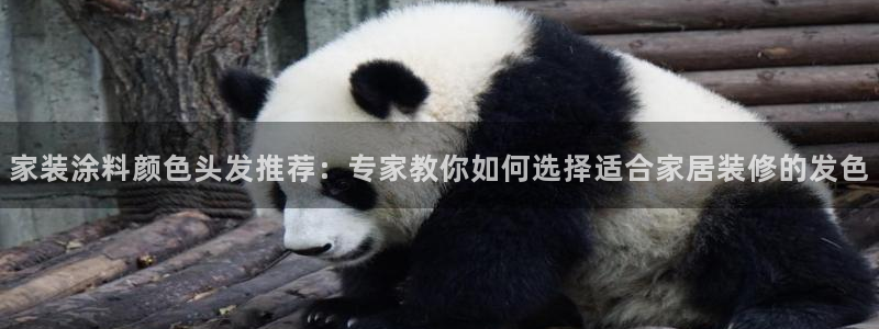 和记h88最新客户端下载：家装涂料颜色头发推荐：专家教你如何选择适合家居装修的发色