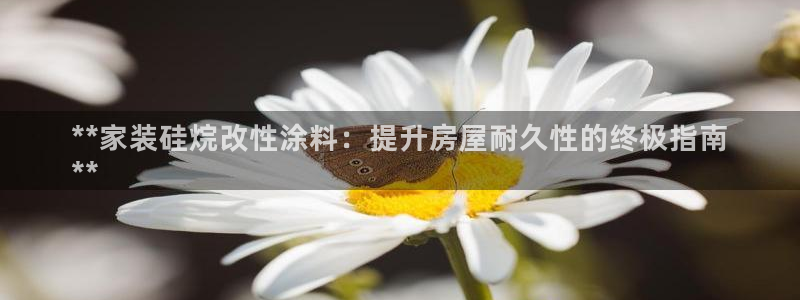 和记官方直营注册导航：**家装硅烷改性涂料：提升房屋耐久性的终极指南
**