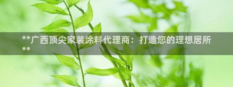 和记ag旗舰厅app：**广西顶尖家装涂料代理商：打造您的理想居所
**
